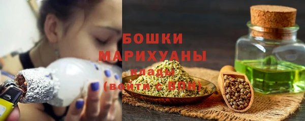 гашик Новодвинск