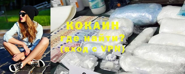 гашик Новодвинск