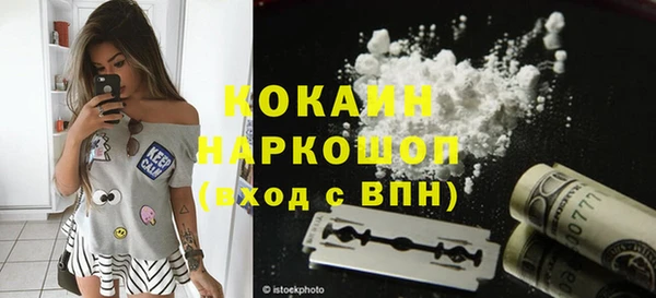 гашик Новодвинск