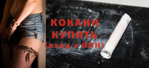 гашик Новодвинск